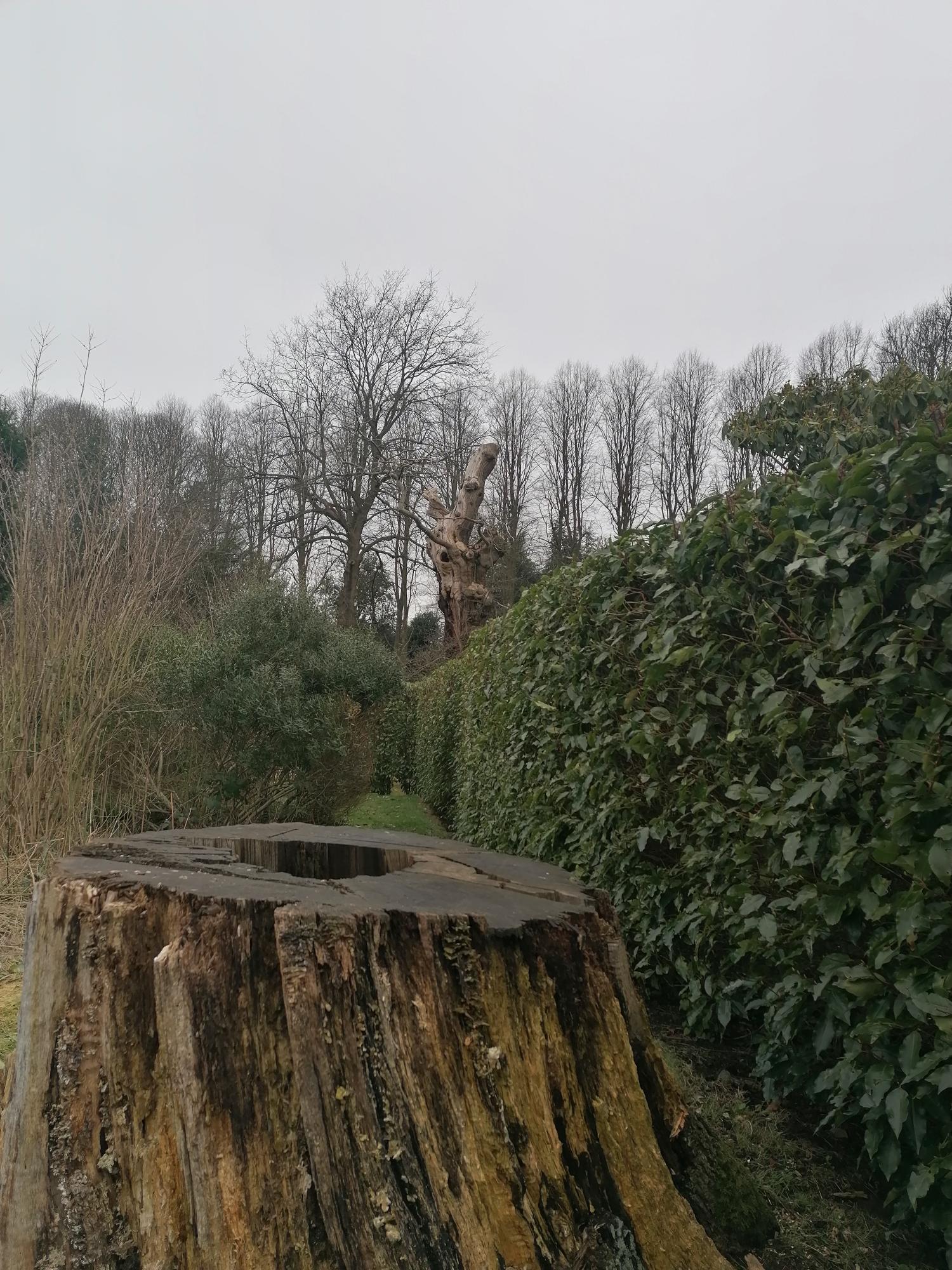 Union Jack Project - Wentworth Gardens